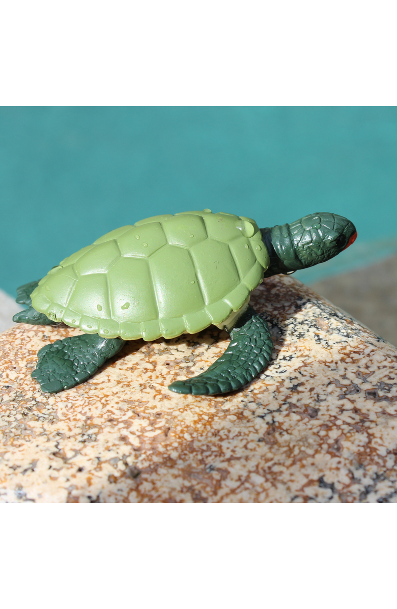 Safari Ltd. Life Cycle Of A Green Sea Turtle, Alternate, color, NO COLOR