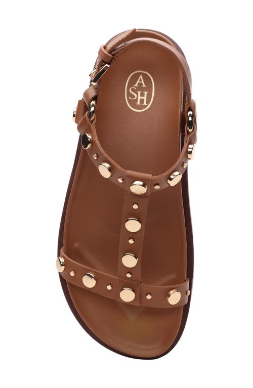 Ash Ugo Cannella Sandals In Camel Brown In Cinnamon