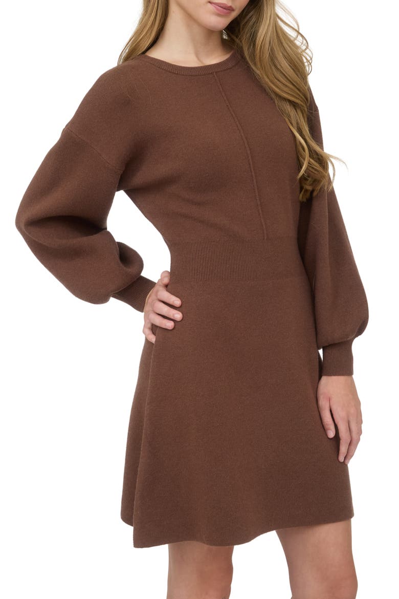 Tie Back Long Sleeve Minidress, Alternate, color, BROWN