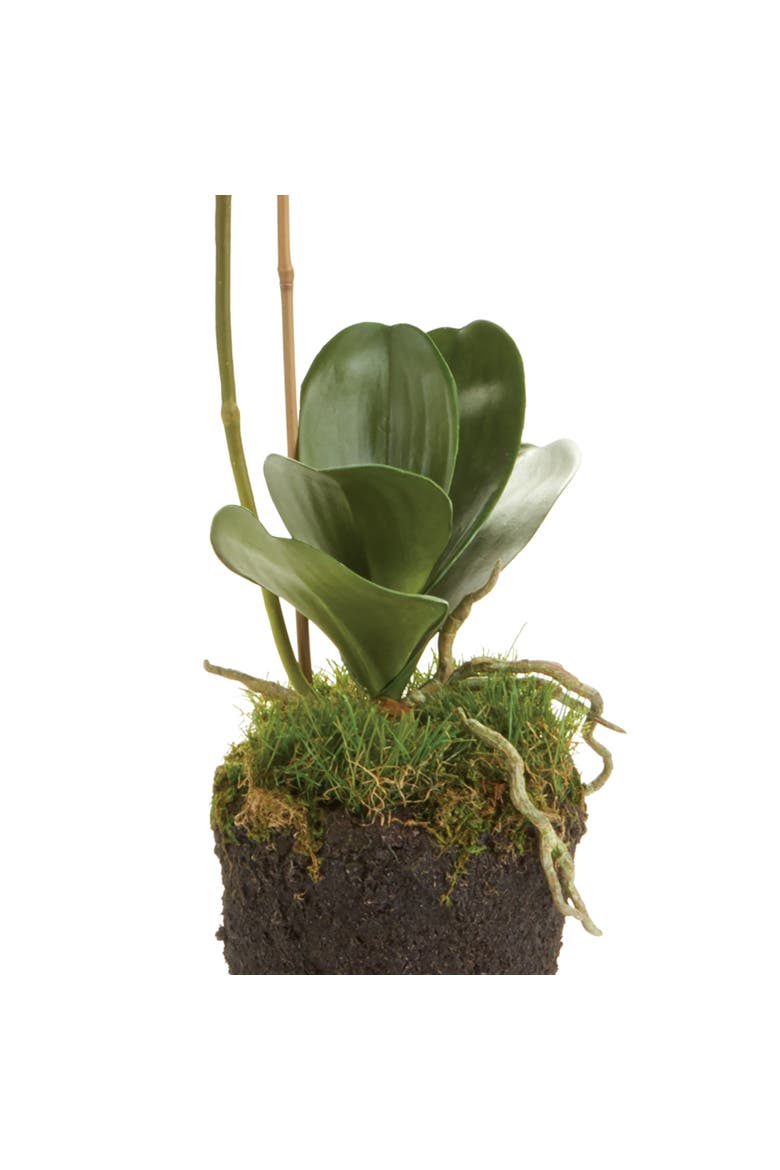 Phalaenopsis Orchid Faux (Fake) Drop-In 26", Alternate, color, White