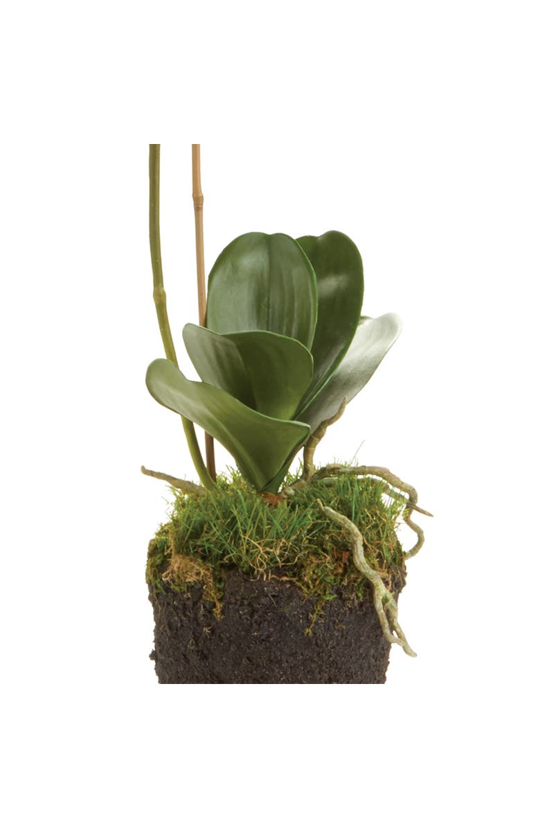 Napa Home & Garden Phalaenopsis Orchid Faux (Fake) Drop-In 26", Alternate, color, 