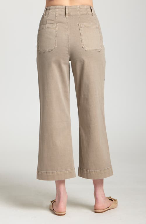 Apny Wide Leg Ankle Jeans In Brown