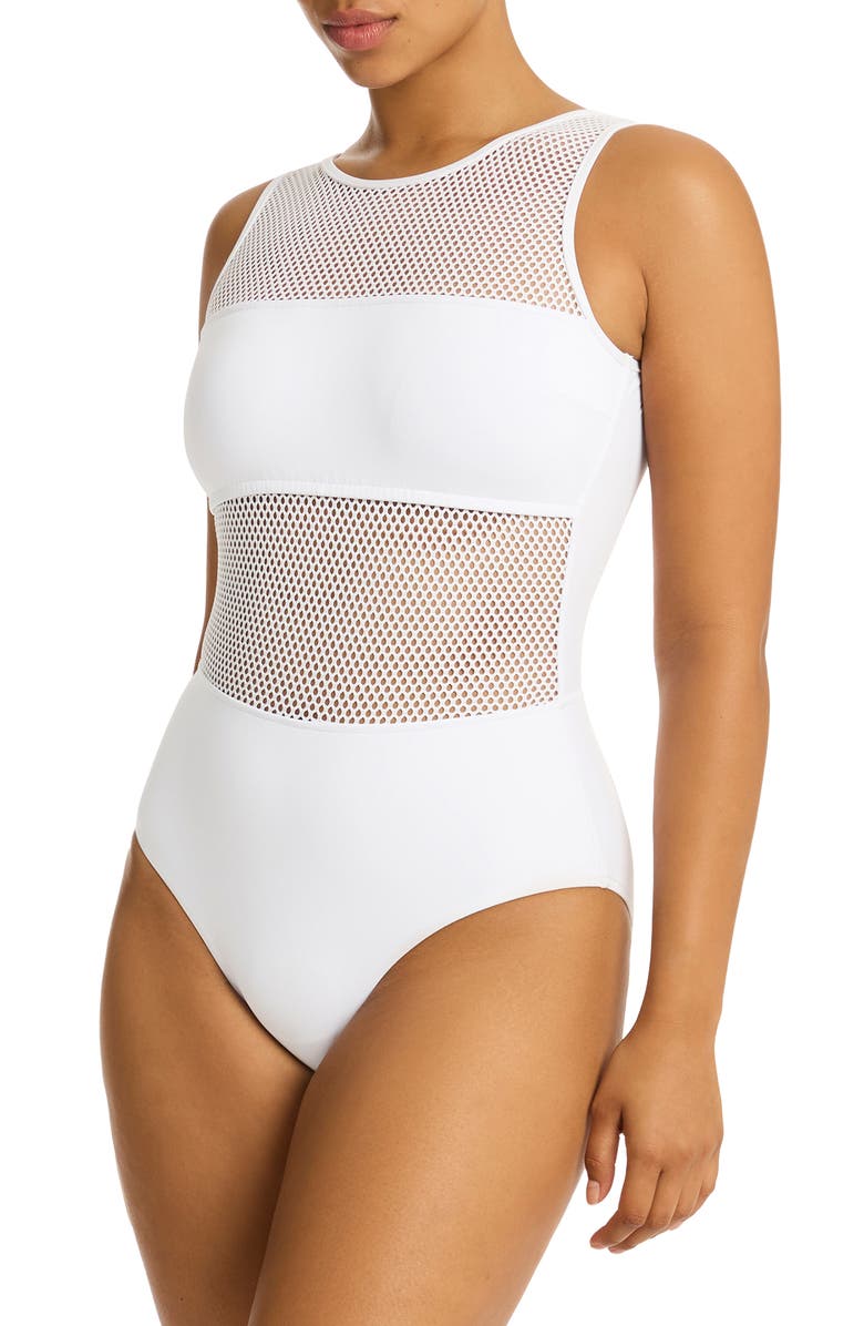 Sea Level Drift Mesh Inset One-Piece Swimsuit, Alternate, color, 