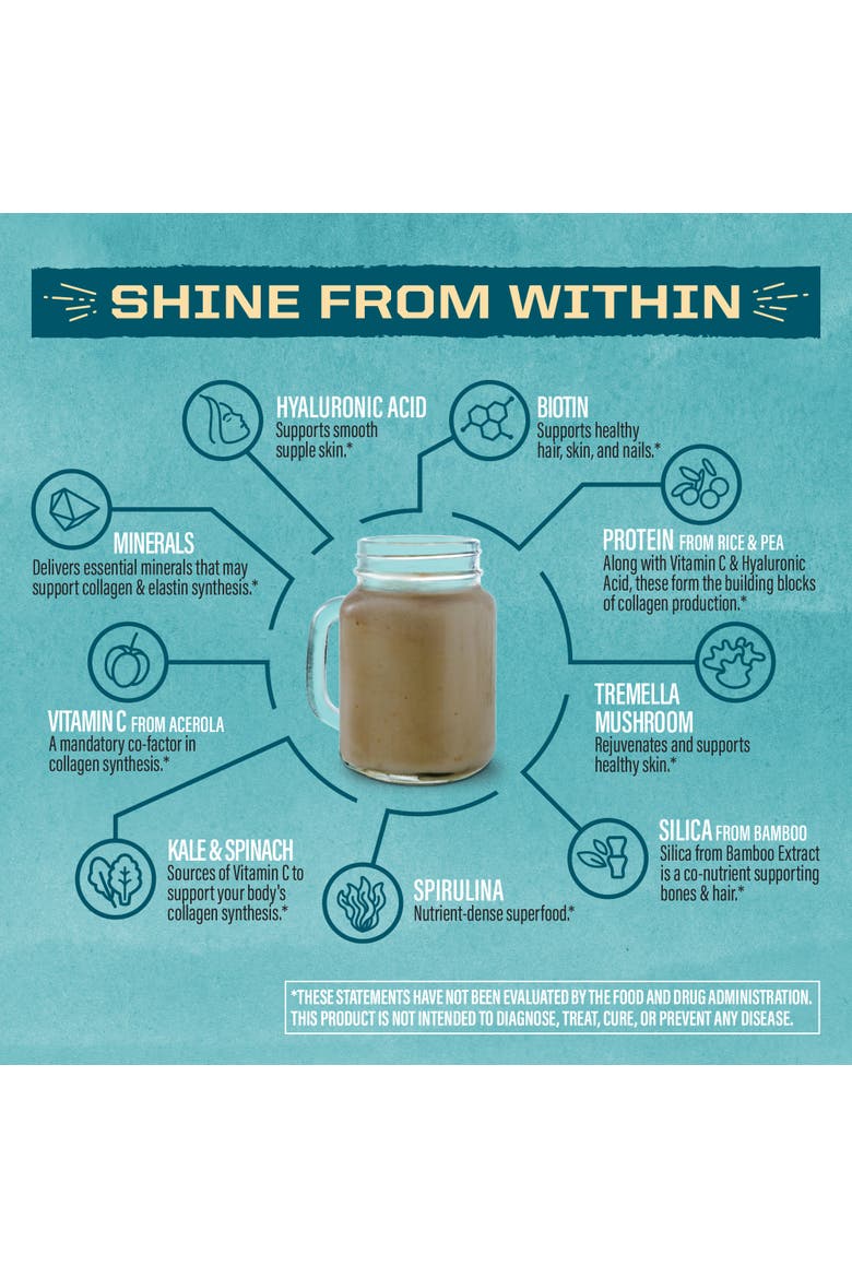 Collagen Building Protein Peptides Powder, Chocolate Fudge, 500gm, Alternate, color, No Color