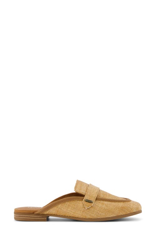 TOMS TOMS LYNETTE MULE 