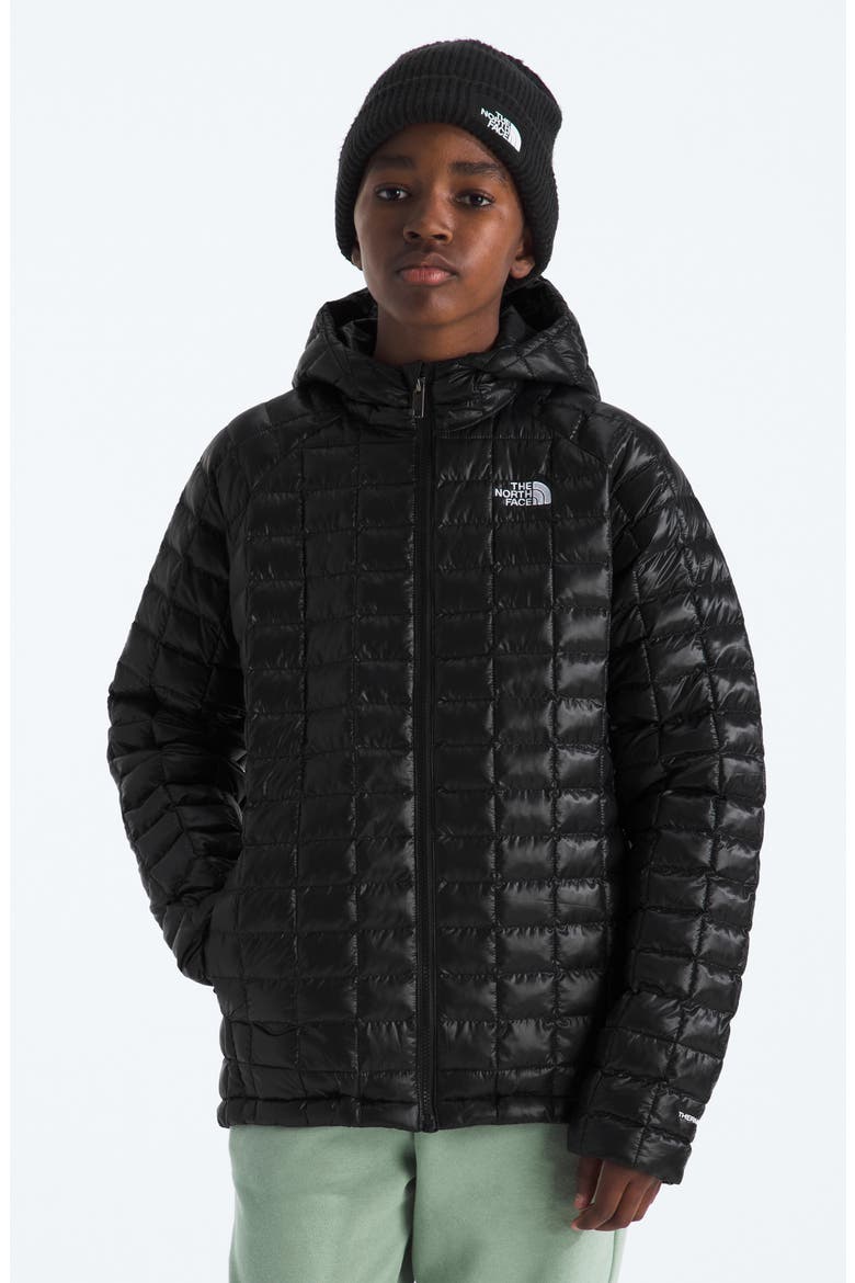 Kids' Thermoball Quilted Hooded Jacket, Alternate, color, TNF BLACK