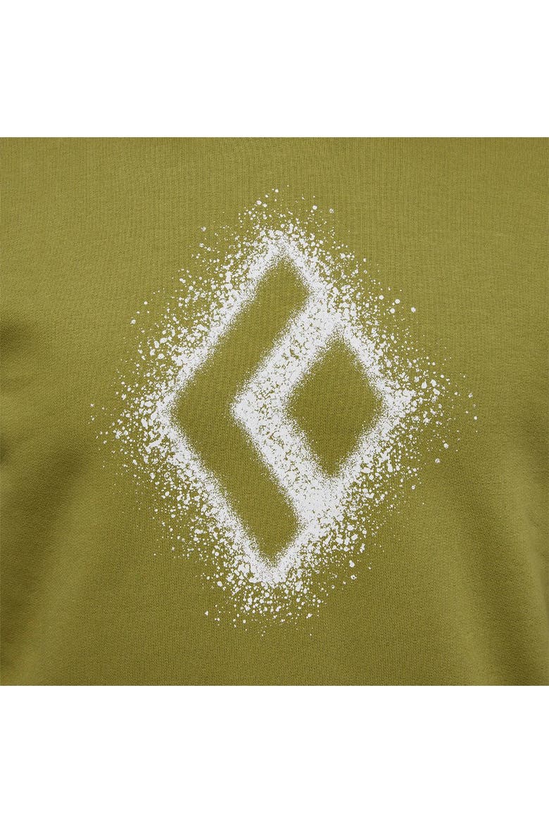 Chalked Up 2.0 Pullover Hoodie - Men's, Alternate, color, Camp Green