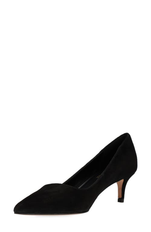 Pelle Moda Aeri Pointed Toe Kitten Heel Pump In Black