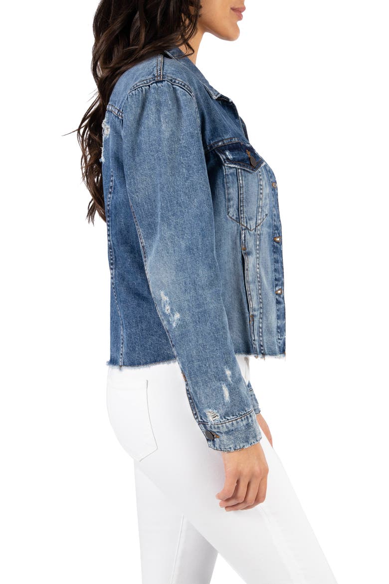 Julia Crop Denim Jacket, Alternate, color, PUSHING