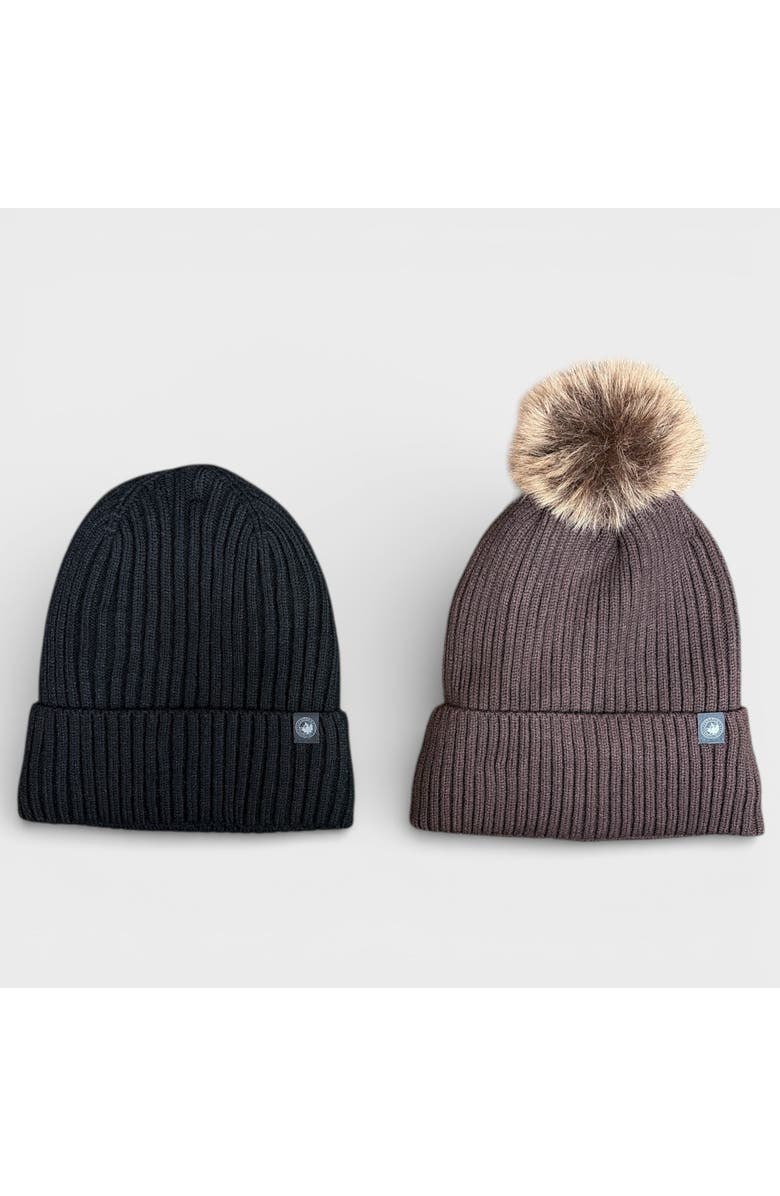 CANADA WEATHER GEAR 2-Pack Thermal Plush Lined Beanies, Main, color, Brown/Black