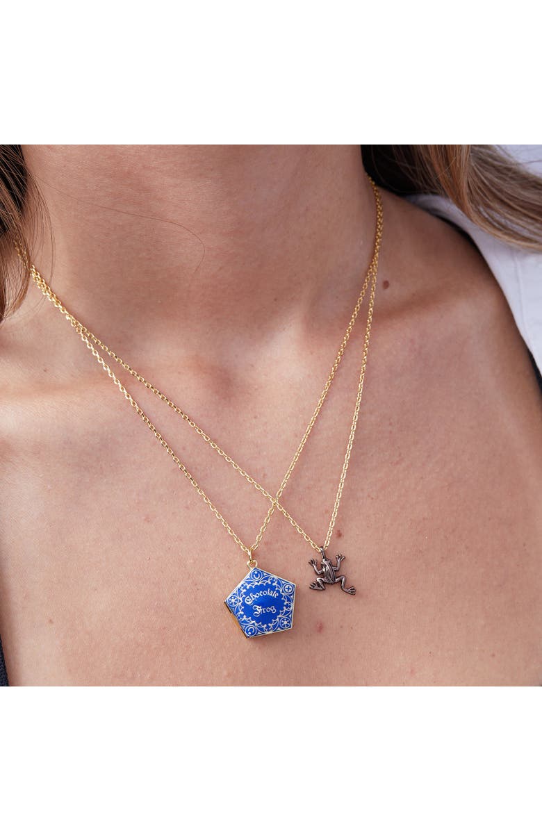 Alex and Ani Harry Potter Chocolate Frog Necklace Set, Alternate, color, Blue