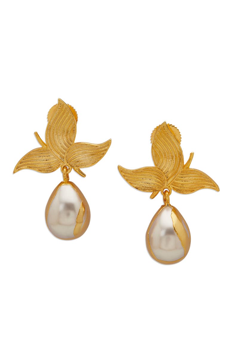 Dhwani Bansal ZOONI EARRINGS, Main, color, Gold Plated