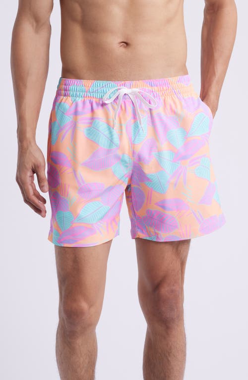 Chubbies The Posh Palms 5.5-inch Swim Trunks