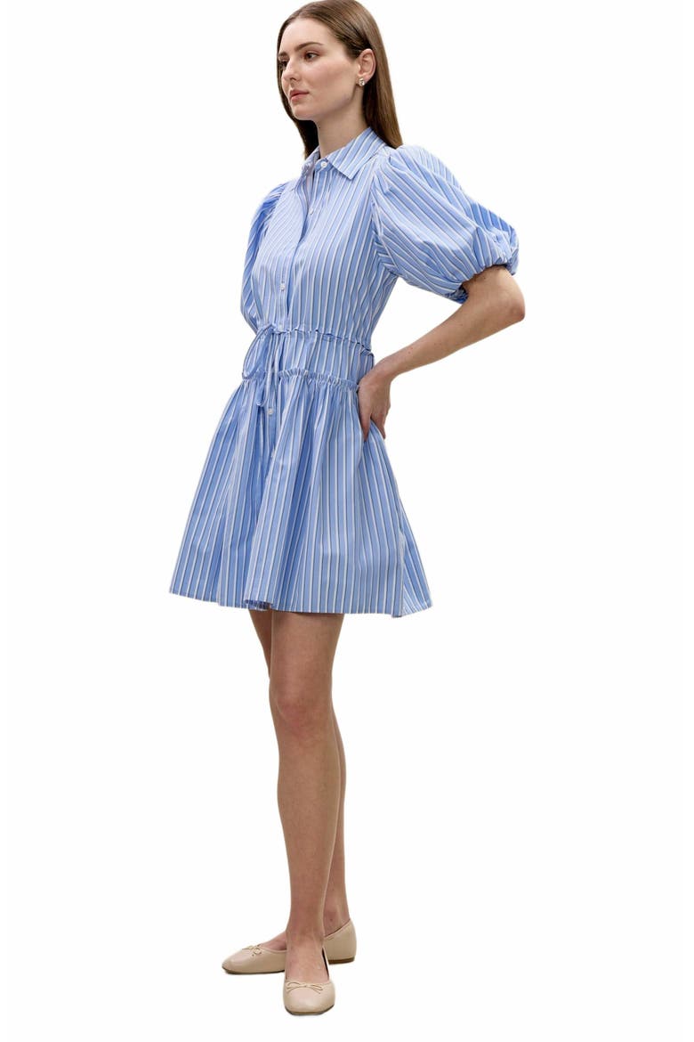 Priya Poplin Shirt Dress, Alternate, color, BLUE STRIPE COMBO