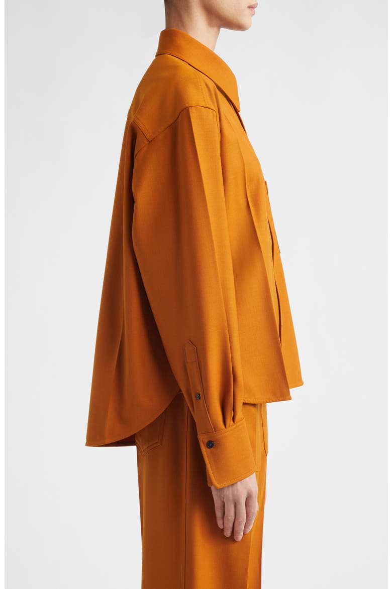 Long Sleeve Crop Button-Up Shirt, Alternate, color, BRONZE