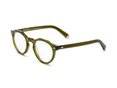 Caddis Dogleg | Reading Glasses