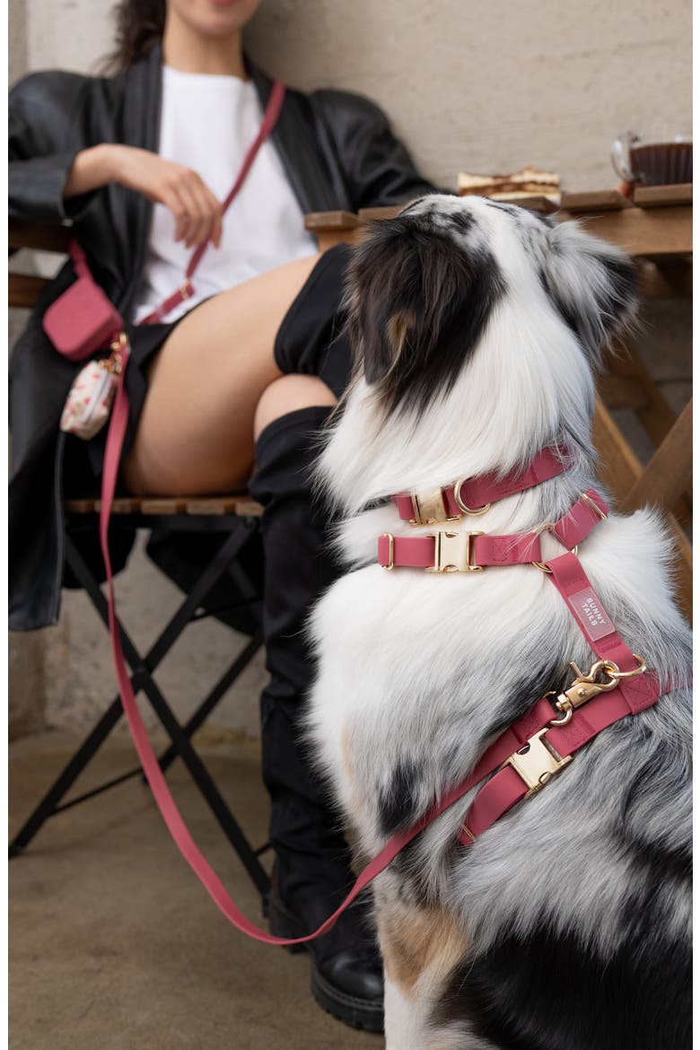 Cloud Waterproof Dog Collar, Alternate, color, MULBERRY BURGUNDY