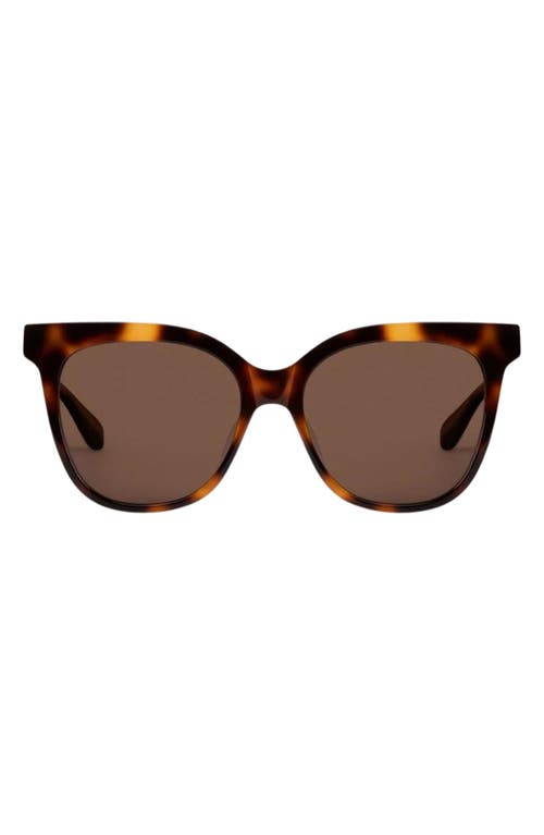 Mohala Eyewear Mahina 56mm Low Bridge Wide Width Polarized Cat Eye Sunglasses In Tiger Eye Tortoise/tan Lenses