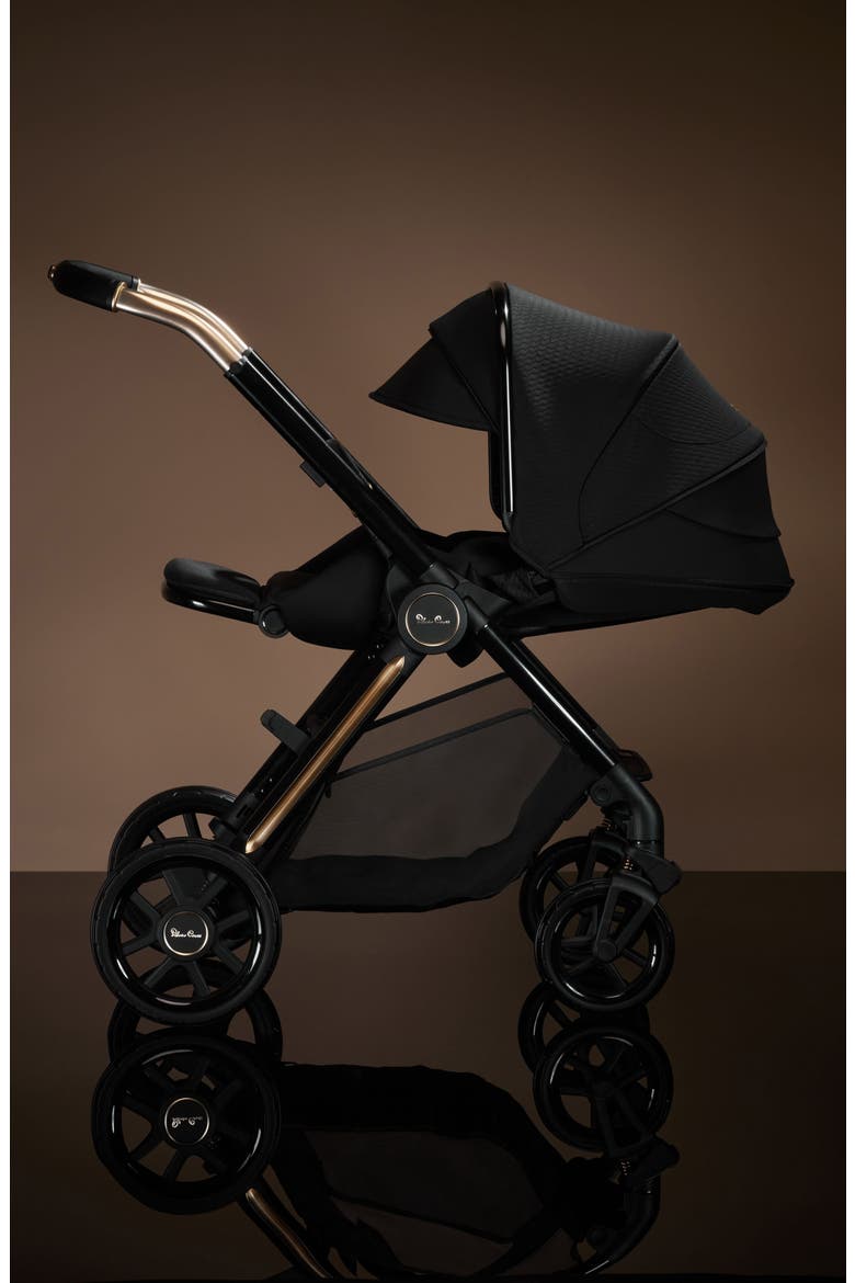 Reef 2 Stroller, Alternate, color, ESPRESSO