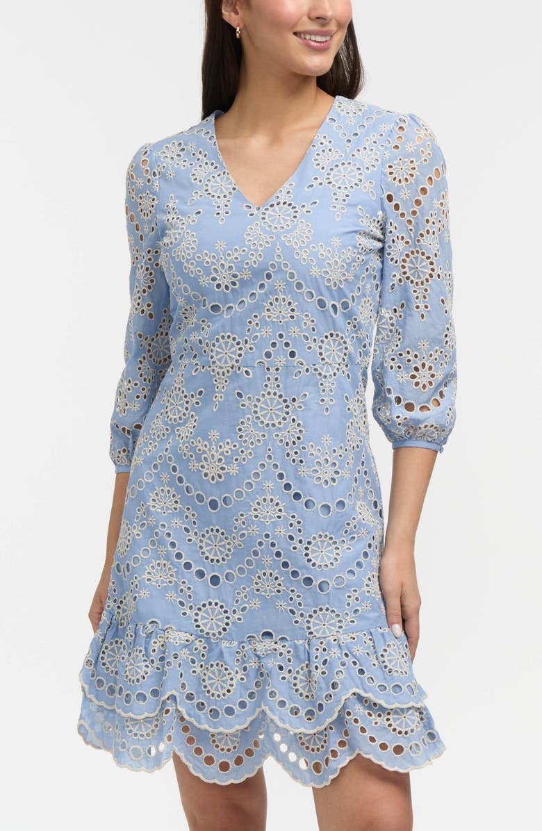 Ellen Tracy Embroidered Eyelet V-Neck Minidress, Alternate, color, Blue