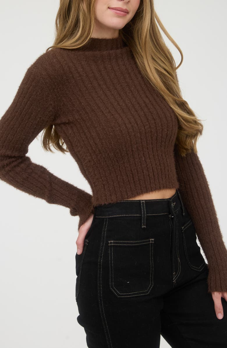 Blu Pepper Mock Neck Crop Sweater, Alternate, color, Brown