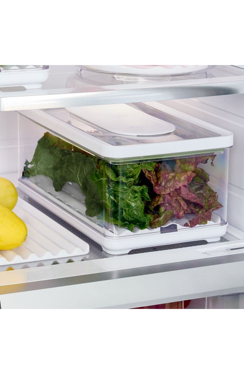 iDesign Large Fridge Produce Bin with Removable Drainage Tray and Lid - Set of 2 - Clear, Alternate, color, Clear/White/Green