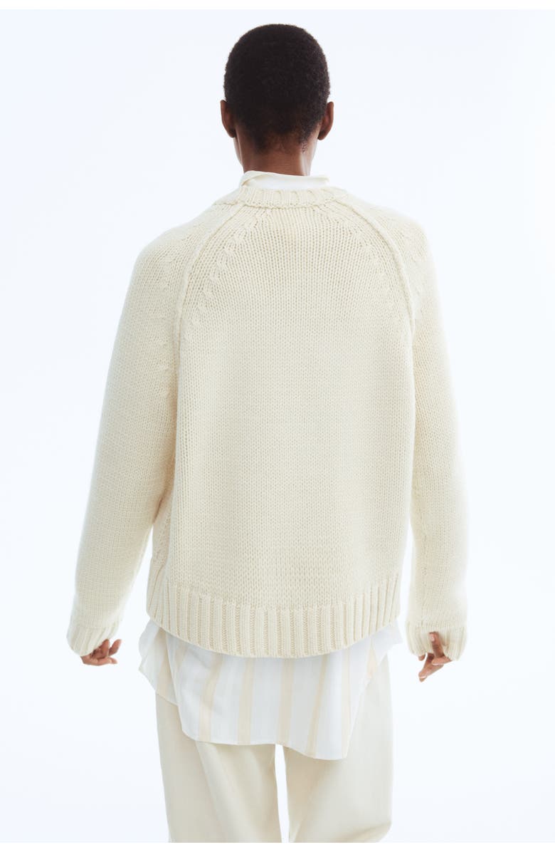 H&M Raglan-sleeved Jumper, Alternate, color, Cream