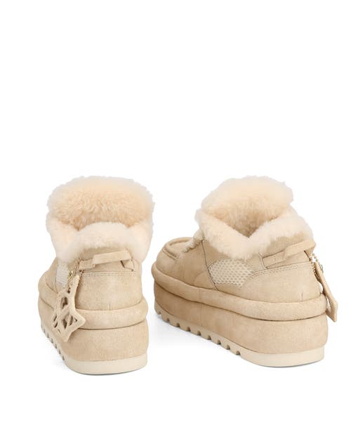 Naked Wolfe Beau Suede Boot In Neutral