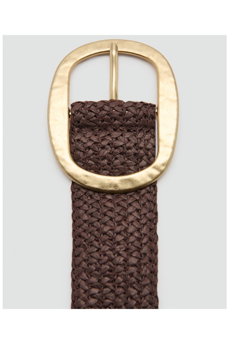 Natural Fiber Belt, Alternate, color, CHOCOLATE