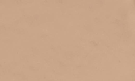 WARM BEIGE