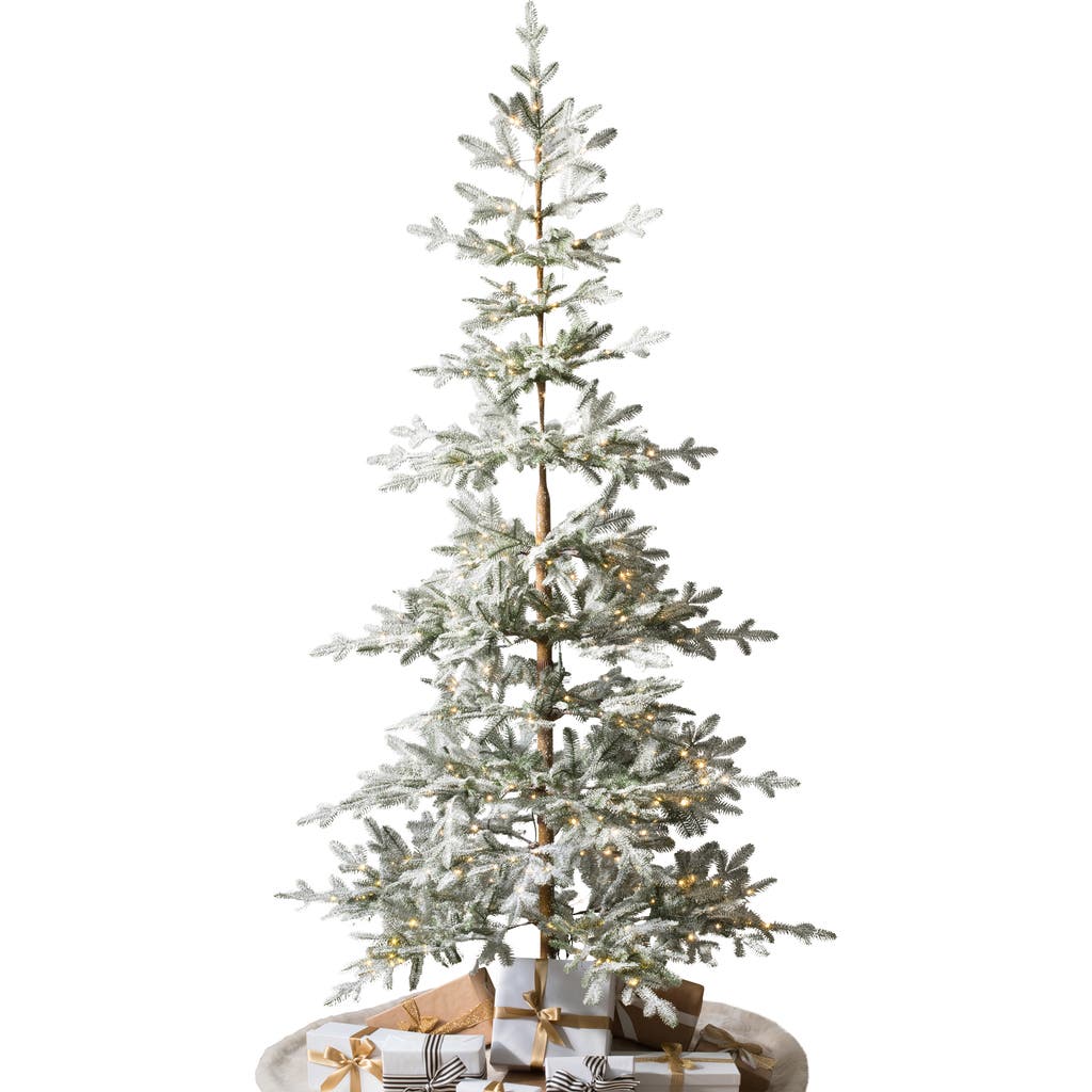 Balsam Hill Frosted Alpine Balsam Fir Pre-Lit Artificial Tree in Led Clear Fairy Light  product