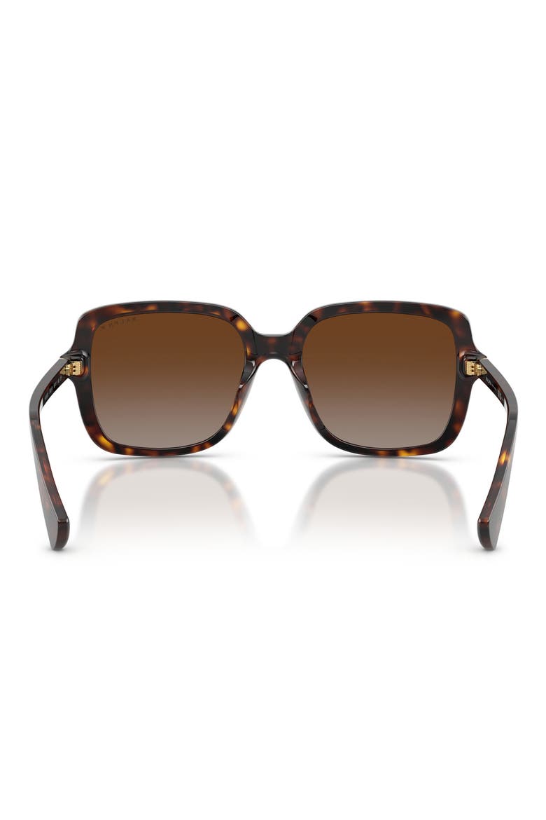 56mm Polarized Square Sunglasses, Alternate, color, SHINY DARK HAVANA / BROWN