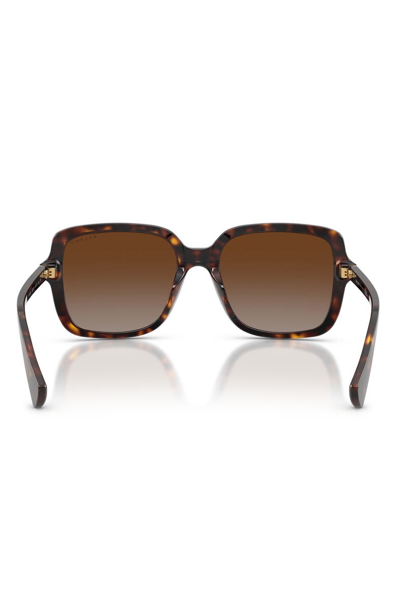 RALPH 56mm Polarized Square Sunglasses, Alternate, color, Shiny Dark Havana / Brown