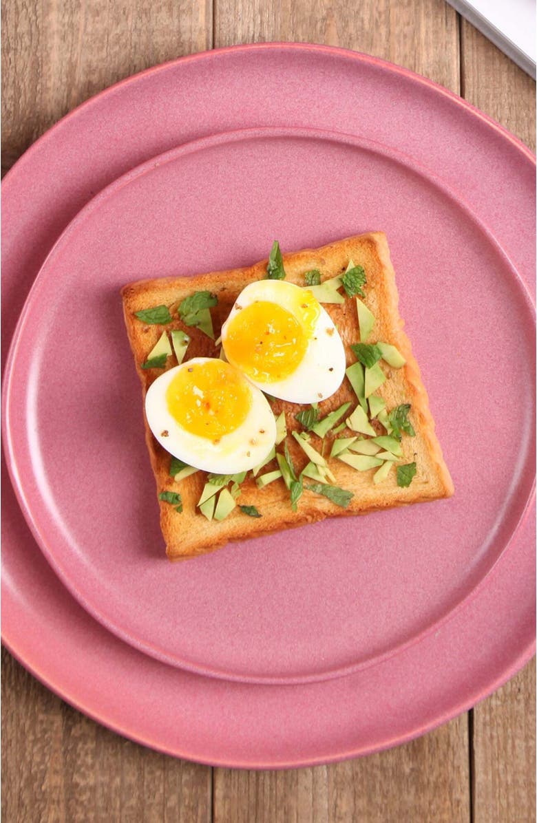 Stone Lain Tom Stoneware 4-Piece Dinner Plate Set, Alternate, color, Pink White