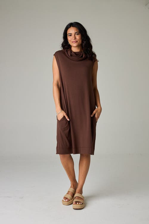 Eavolu Kakadu Eco-luxe Rib Sleeveless Funnel Neck Tunic/dress In Brown