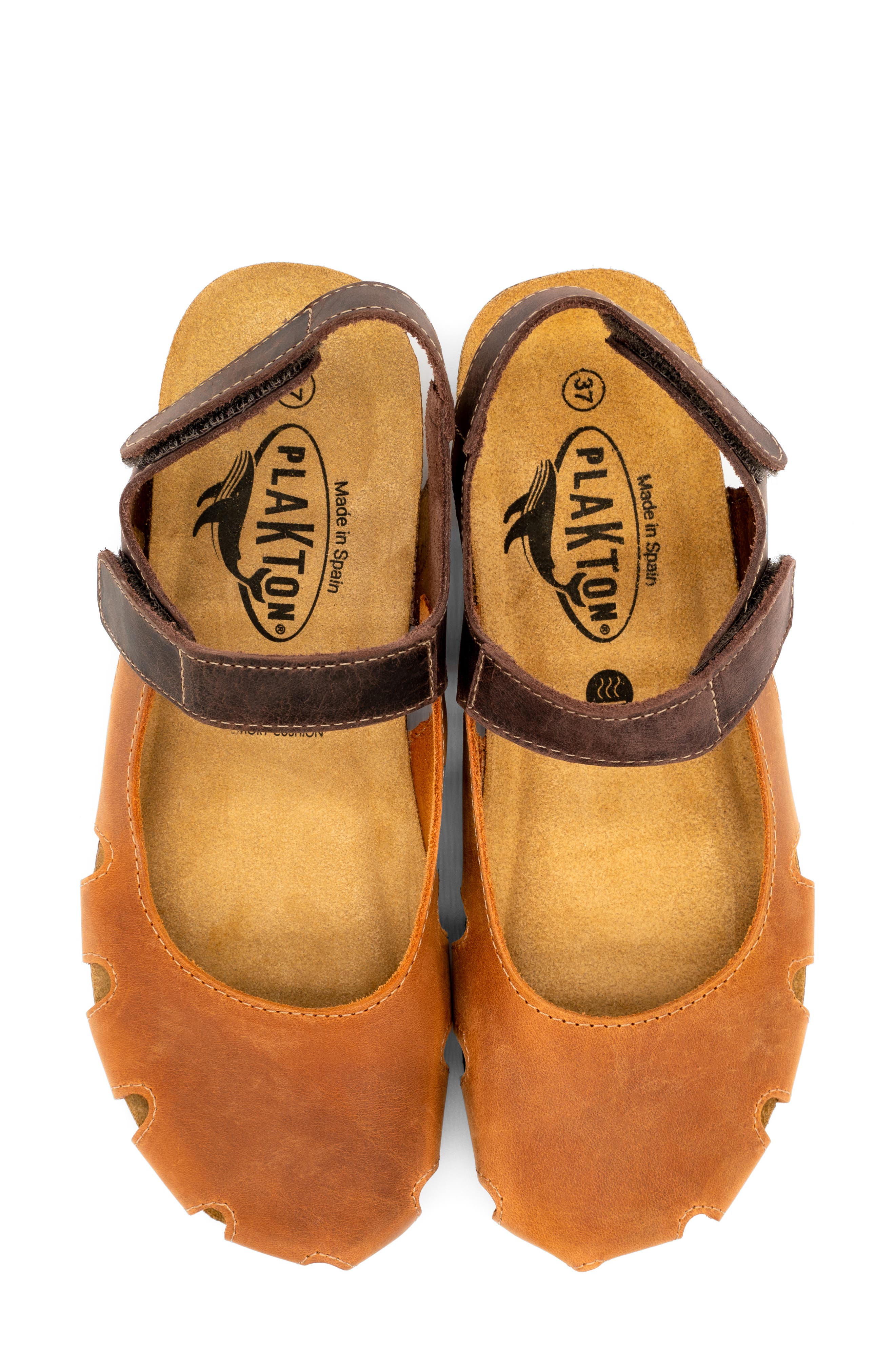 Amy Sandal, Alternate, color, APURE CUERO