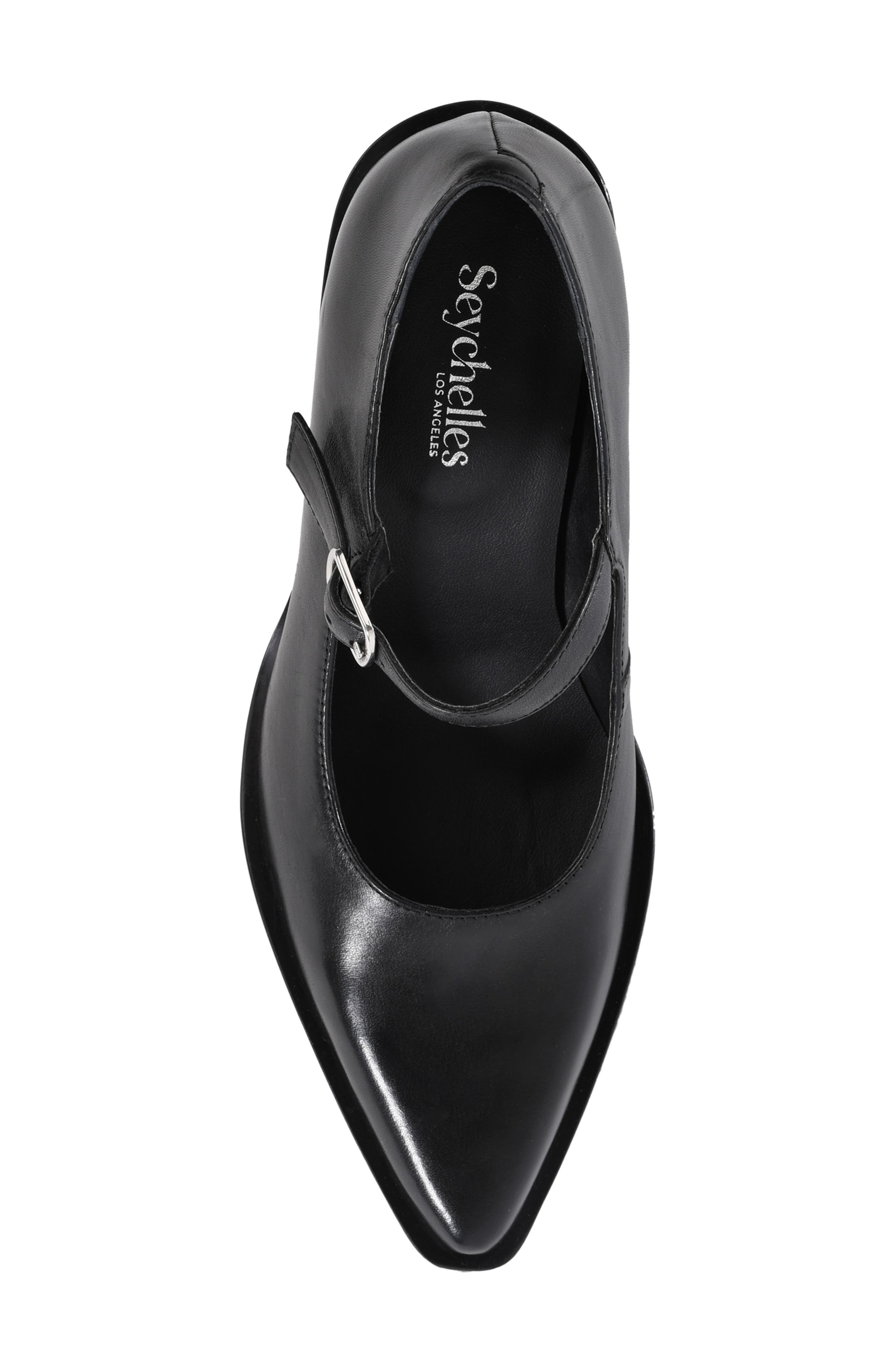 Seychelles Sparks Pointed Toe Mary Jane Pump, Alternate, color, Black Leather