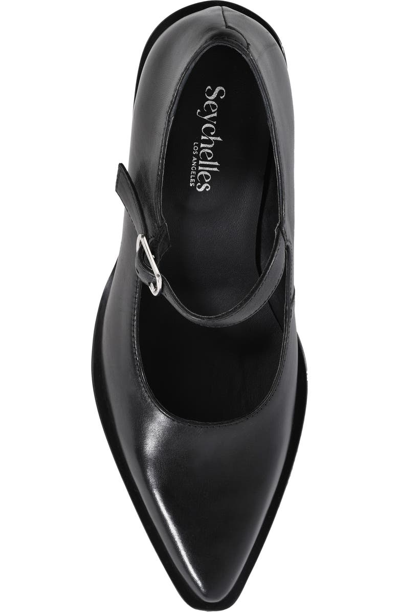 Seychelles Sparks Pointed Toe Mary Jane Pump, Alternate, color, Black Leather