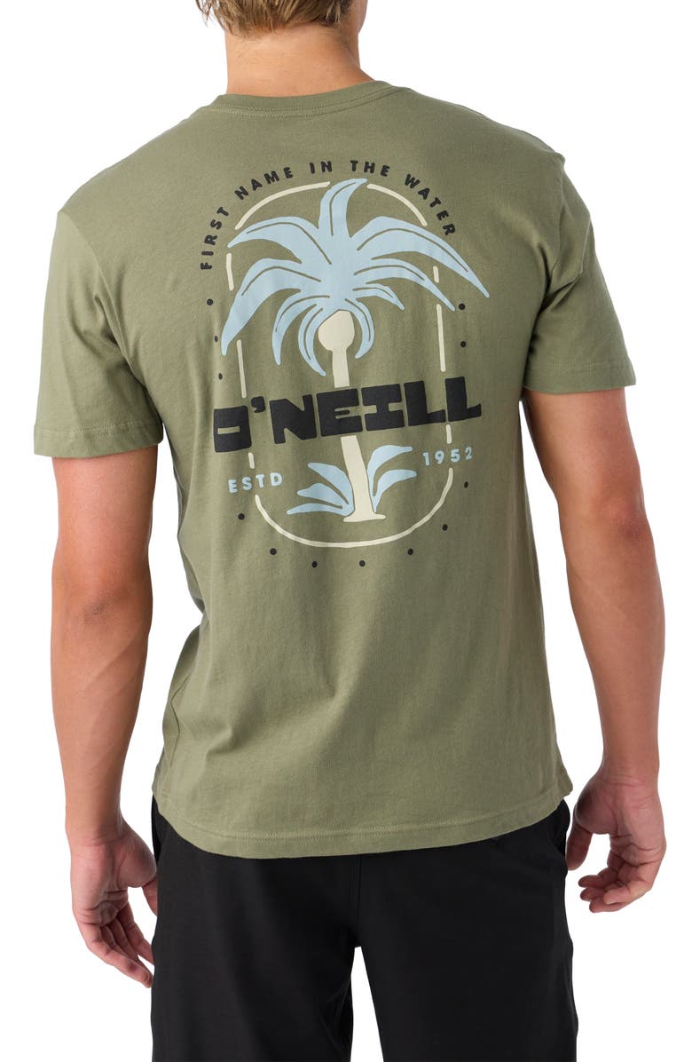 O'Neill Strainds Cotton Graphic T-Shirt, Alternate, color, 