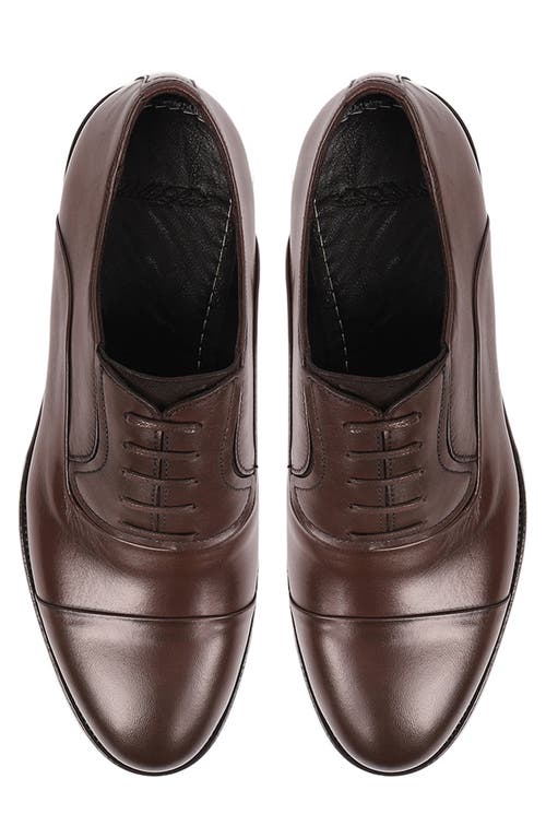 Vellapais Otto Oxford In Brown