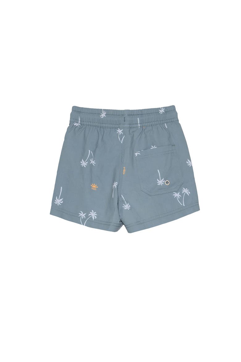 Beach Scout Drawstring Swim Shorts, Alternate, color, Multi-Green