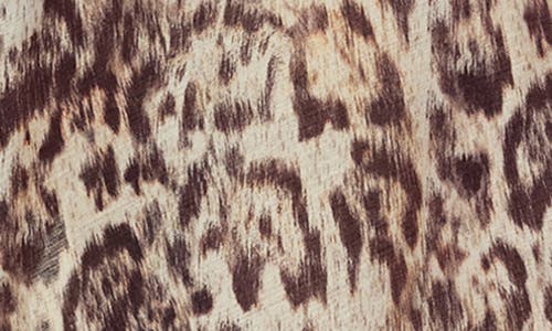 Allsaints Arwen Leopard Print Dress