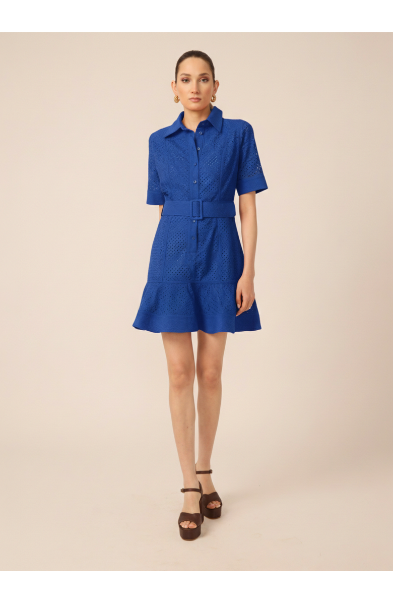 Gilner Farrar Payden Dress, Main, color, Blue Eyelet