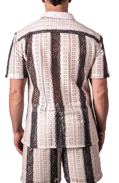 Maceoo Stripescream Open Stitch Short Sleeve Cotton Button-up Shirt In Neutral