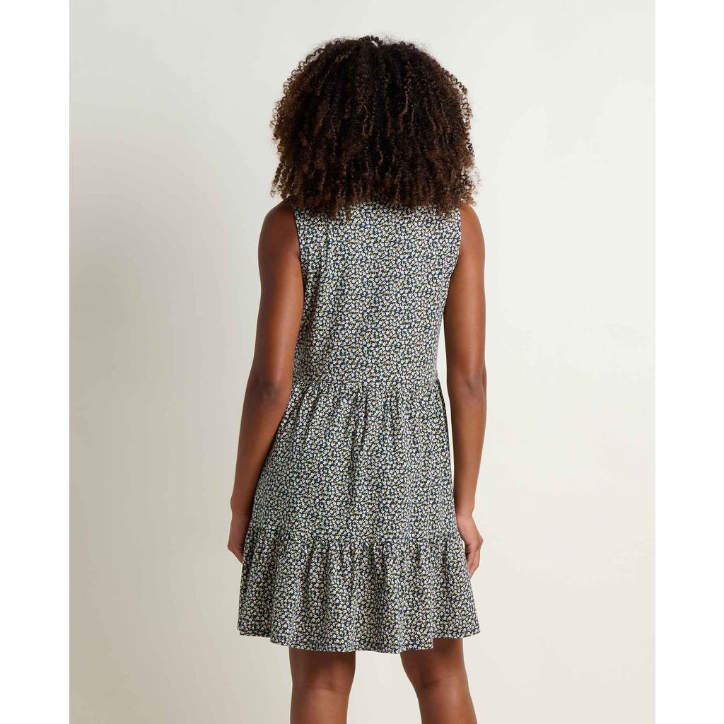 Toad And Co Toad & Co Marley Tiered Sleeveless Dress