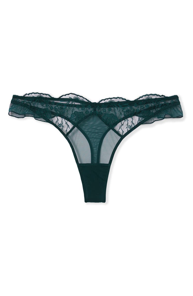 Etam Posie Embroidered Mesh Thong, Alternate, color, 