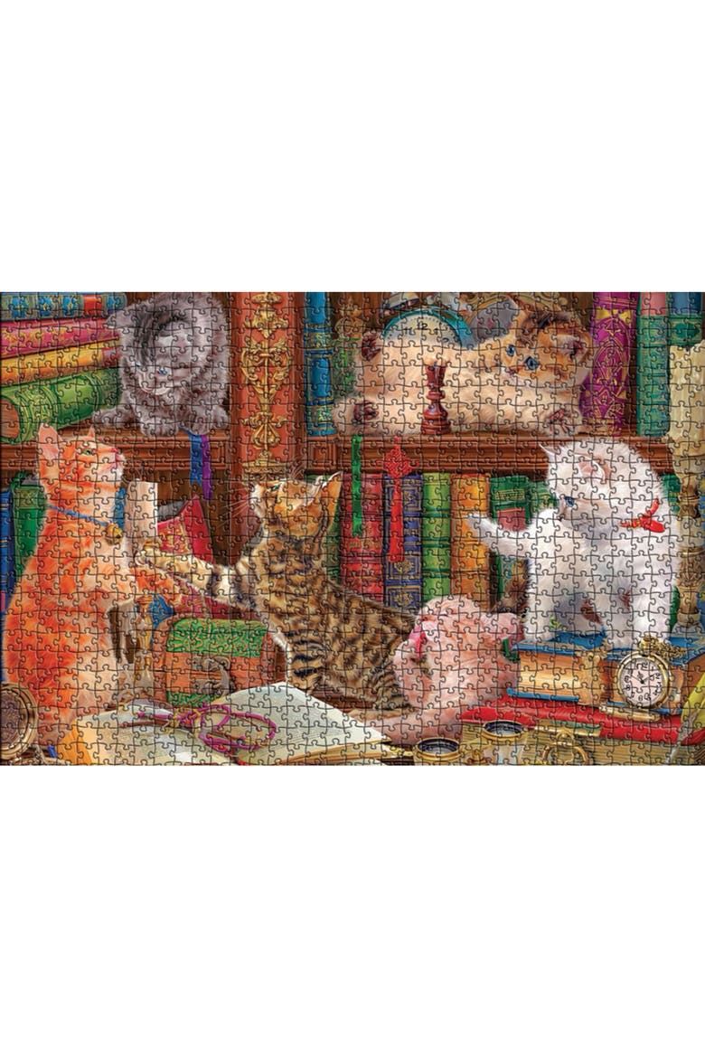 Library Kittens 1000 Piece Puzzle, Alternate, color, Multicolored