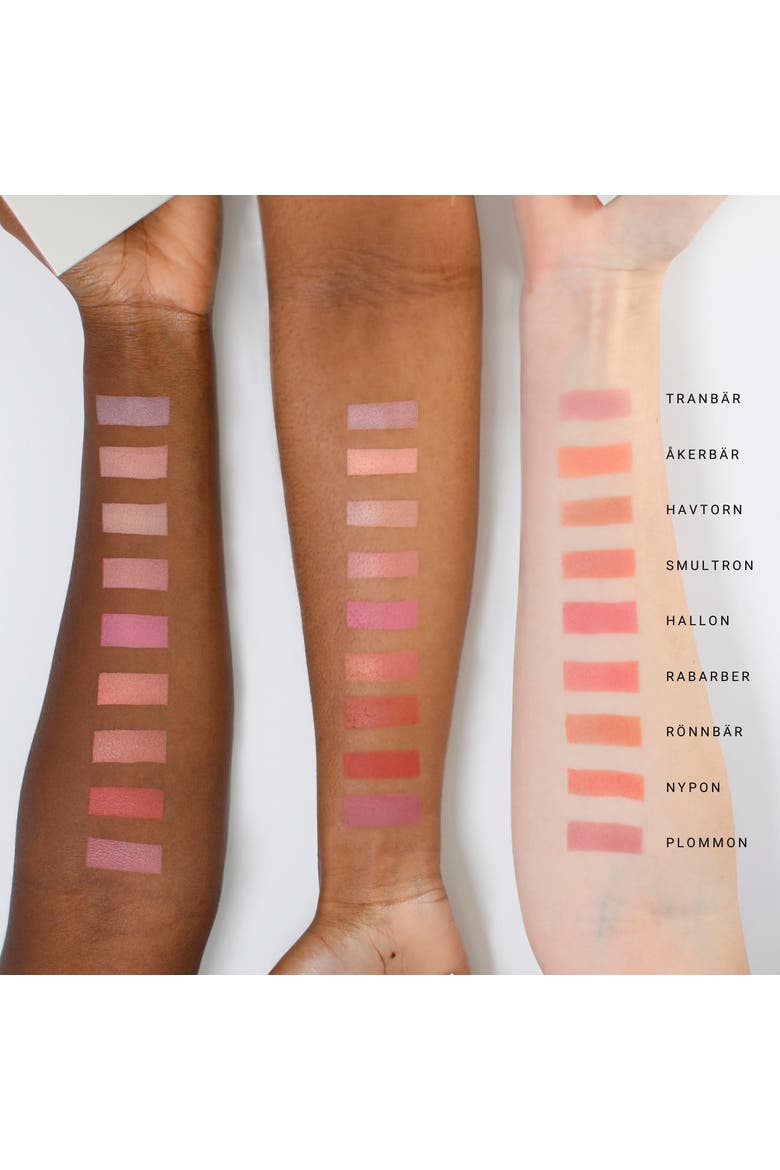 Mineral Blush, Alternate, color, Plommon