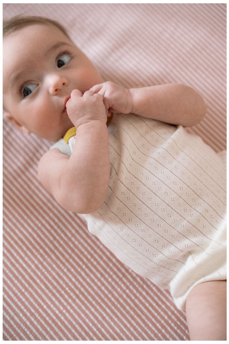Pointelle Bodysuit, Alternate, color, RAINBOW