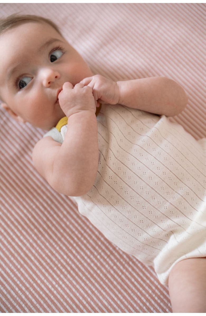 Pehr Pointelle Bodysuit, Alternate, color, Rainbow